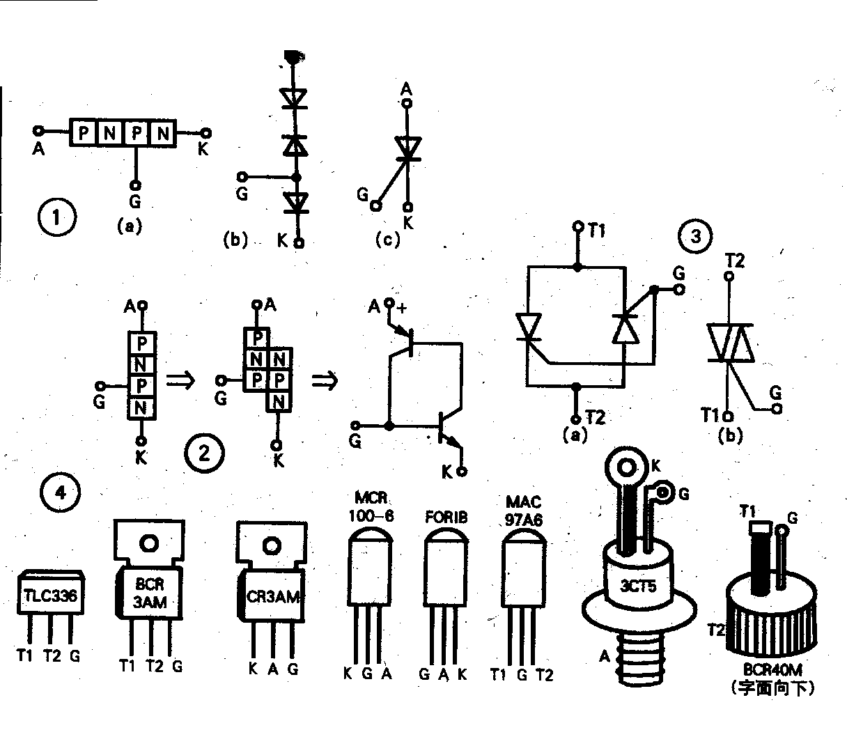 dvubb 圖片點擊可在新窗口打開查看