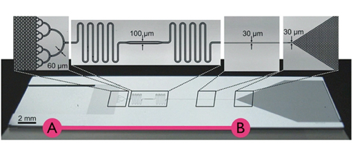 芯片實(shí)驗(yàn)室利用毛細(xì)管作用對(duì)一針孔的血液進(jìn)行處理，毛細(xì)管作用使血液樣本從A流到B，數(shù)秒內(nèi)就可得出結(jié)果。