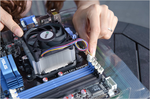 開核大作戰(zhàn) 美女手把手教你如何裝機