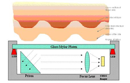 光學(xué)式指紋采集圖