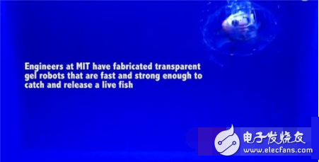 精確溫和接觸的水凝膠機(jī)器人：未來(lái)能協(xié)助醫(yī)生完成手術(shù)！