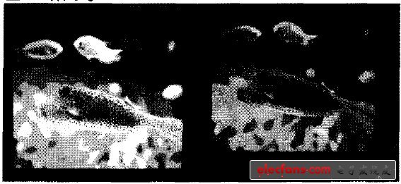 圖10 （左）LED 背光源，（右）CCFL背光源