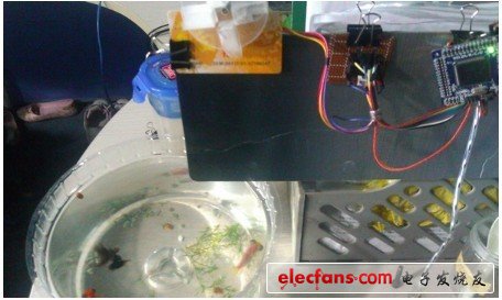 極致創(chuàng)意！DIY自動(dòng)喂魚(yú)裝置（附代碼）