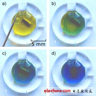 在價(jià)格不斷下滑的LED燈泡市場(chǎng)，價(jià)格競(jìng)爭(zhēng)力較高的新興企業(yè)占據(jù)一定份額