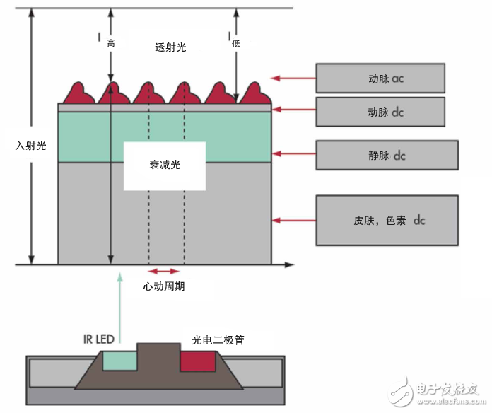 仿生傳感技術(shù)引領(lǐng)全新健康生活