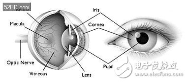 刷爆眼球的虹膜識(shí)別技術(shù)探密