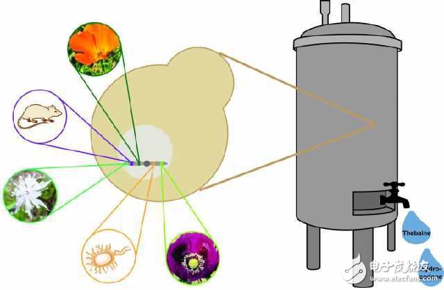 【盤點(diǎn)】2015十大醫(yī)療黑科技