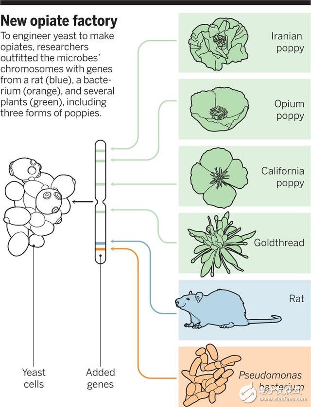 【盤(pán)點(diǎn)】2015十大醫(yī)療黑科技