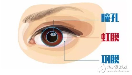 一文讓你懂獨(dú)一無二的虹膜特征識別