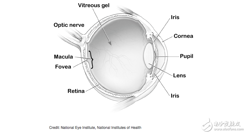 Argus II仿生眼，幫助盲人重見光明!