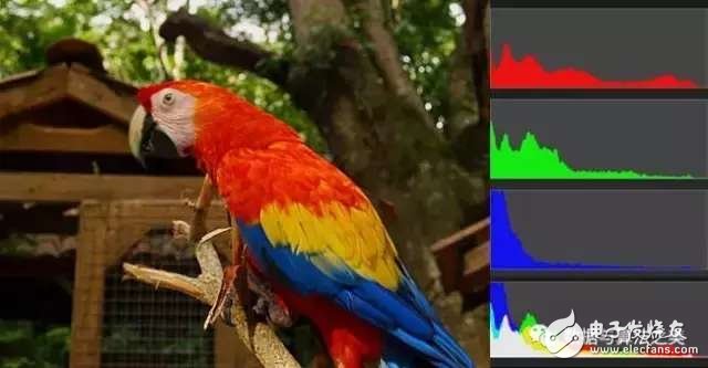 計算機是怎么知道兩張圖片相似的呢？