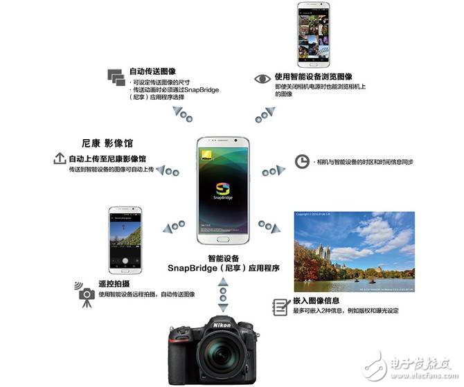 尼康D500怎么樣：高速攝影單反哪家強(qiáng)？尼康D500深度評測