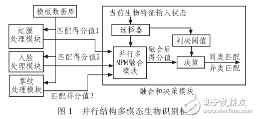 基于自適應并行結構的多模態(tài)生物特征識別