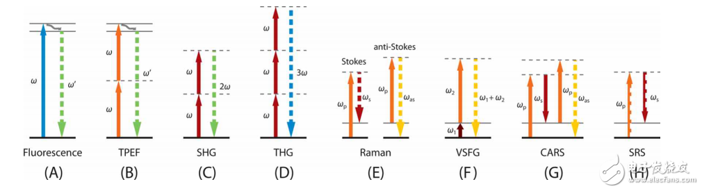 非線性光學(xué)顯微技術(shù)在定量細胞成像中的應(yīng)用