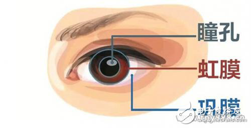比指紋識別還安全，虹膜識別卻被看作“雞肋”？