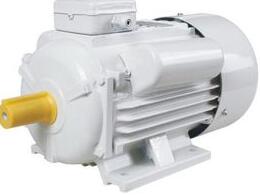 感應(yīng)電機(jī)