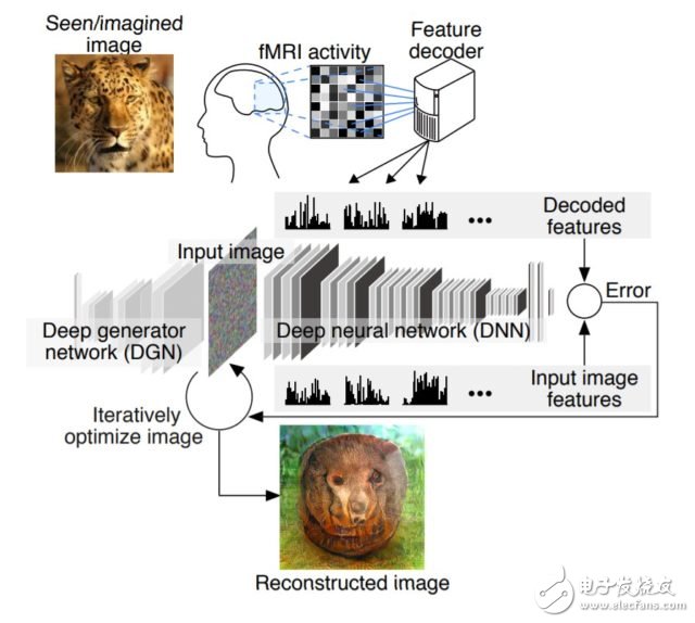 透過「譯碼」腦波，日本團隊的 AI 能重建你腦中所見、所想
