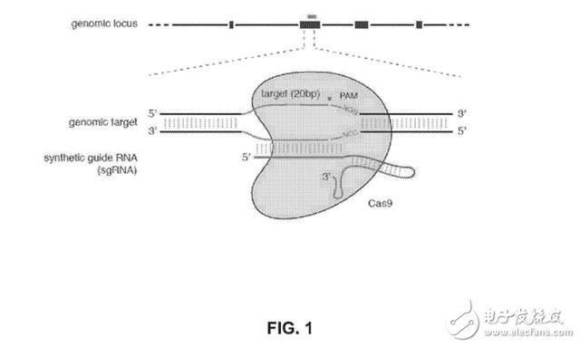 足以改變世界15項(xiàng)發(fā)明專利盤(pán)點(diǎn)