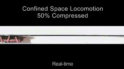 研究人員借鑒蟑螂靈活的外骨骼結(jié)構(gòu)，制造出一款機(jī)器人雛形