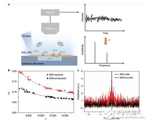 新型納米級(jí)光纖應(yīng)力傳感器